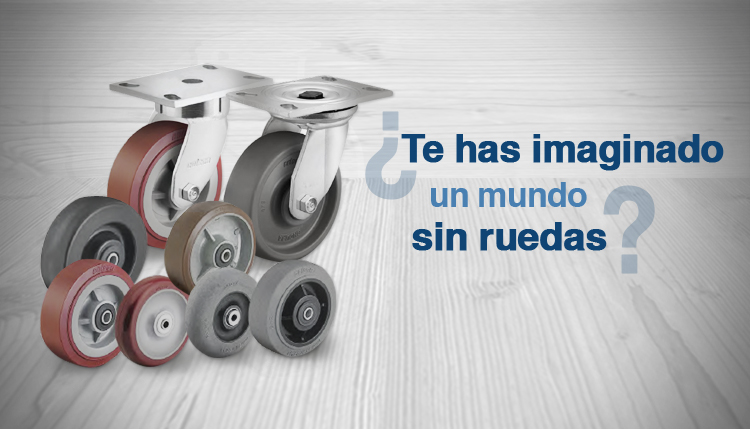 Calidad e Innovación que transporta